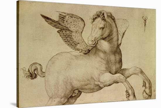 Pegasus-Jacopo De Barbari-Stretched Canvas