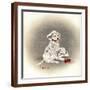 Brown Frame