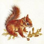 Red Squirrel-Peggy Harris-Giclee Print