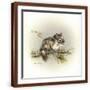 Brown Frame