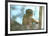 Peggy Lipton in Her Pool-Charles Moore-Framed Photographic Print