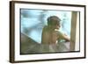 Peggy Lipton in Her Pool-Charles Moore-Framed Photographic Print