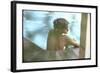 Peggy Lipton in Her Pool-Charles Moore-Framed Photographic Print