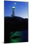 Peggy's Cove Lighthouse at Twilight-Paul Souders-Mounted Photographic Print