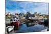 Peggy's Cove NovaScotia Canada-null-Mounted Premium Giclee Print