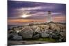 Peggy's Cove St. Margarets Bay-null-Mounted Art Print