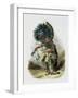 Pehriska-Ruhpa, Minatarre Warrior in the Costume of the Dog Dance-Karl Bodmer-Framed Giclee Print