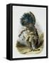 Pehriska-Ruhpa, Minatarre Warrior in the Costume of the Dog Dance-Karl Bodmer-Framed Stretched Canvas