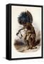 Pehriska-Rupha: Moennitarri Warrior in the Costume of the Dog Danse, 1839-1841-Karl Bodmer-Framed Stretched Canvas