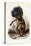 Pehriska-Rupha: Moennitarri Warrior in the Costume of the Dog Danse, 1839-1841-Karl Bodmer-Stretched Canvas