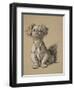 Peke, 1930, Ifrom His Sketch Book Used For Just Among Friends, Aldin, Cecil Charles Windsor-Cecil Aldin-Framed Giclee Print