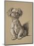 Peke, 1930, Ifrom His Sketch Book Used For Just Among Friends, Aldin, Cecil Charles Windsor-Cecil Aldin-Mounted Giclee Print