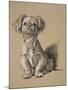 Peke, 1930, Ifrom His Sketch Book Used For Just Among Friends, Aldin, Cecil Charles Windsor-Cecil Aldin-Mounted Giclee Print