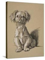 Peke, 1930, Ifrom His Sketch Book Used For Just Among Friends, Aldin, Cecil Charles Windsor-Cecil Aldin-Stretched Canvas