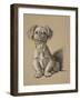 Peke, 1930, Ifrom His Sketch Book Used For Just Among Friends, Aldin, Cecil Charles Windsor-Cecil Aldin-Framed Giclee Print