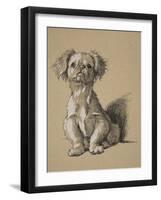 Peke, 1930, Ifrom His Sketch Book Used For Just Among Friends, Aldin, Cecil Charles Windsor-Cecil Aldin-Framed Giclee Print