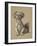 Peke, 1930, Ifrom His Sketch Book Used For Just Among Friends, Aldin, Cecil Charles Windsor-Cecil Aldin-Framed Giclee Print