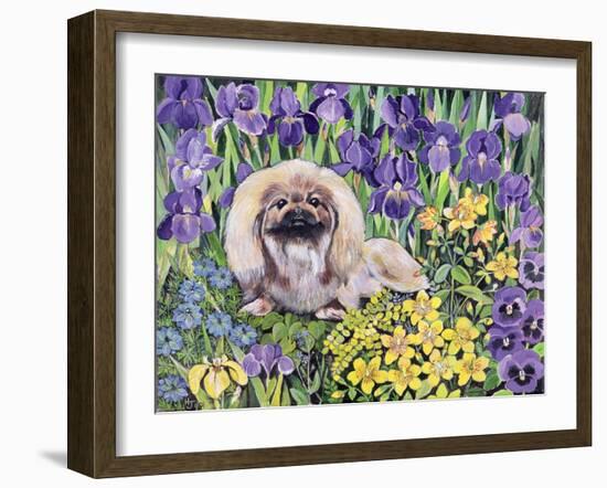 Peke in the Flower Bed-Hilary Jones-Framed Giclee Print