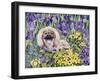 Peke in the Flower Bed-Hilary Jones-Framed Giclee Print