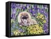 Peke in the Flower Bed-Hilary Jones-Framed Stretched Canvas