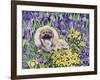 Peke in the Flower Bed-Hilary Jones-Framed Giclee Print