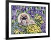 Peke in the Flower Bed-Hilary Jones-Framed Giclee Print