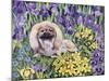 Peke in the Flower Bed-Hilary Jones-Mounted Giclee Print