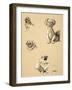 Pekes, 1930, Illustrations from his Sketch Book used for 'Just Among Friends'-Cecil Aldin-Framed Giclee Print