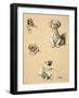 Pekes, 1930, Illustrations from his Sketch Book used for 'Just Among Friends'-Cecil Aldin-Framed Giclee Print