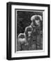 Pekingese 1953-null-Framed Photographic Print