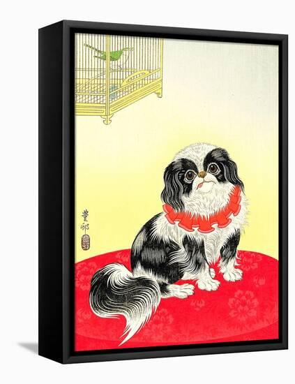 Pekingese Dog and Bush Warbler-Koson Ohara-Framed Stretched Canvas