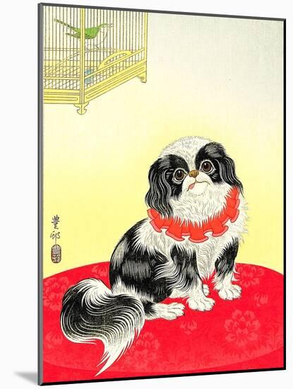 Pekingese Dog and Bush Warbler-Koson Ohara-Mounted Giclee Print