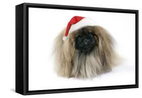 Pekingese in Christmas Hat-null-Framed Stretched Canvas