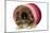 Pekingese Puppy in Studio in Pink Raffia Pot-null-Mounted Photographic Print