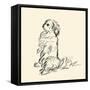 Pekingese-Lucy Dawson-Framed Stretched Canvas