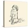 Pekingese-Lucy Dawson-Stretched Canvas