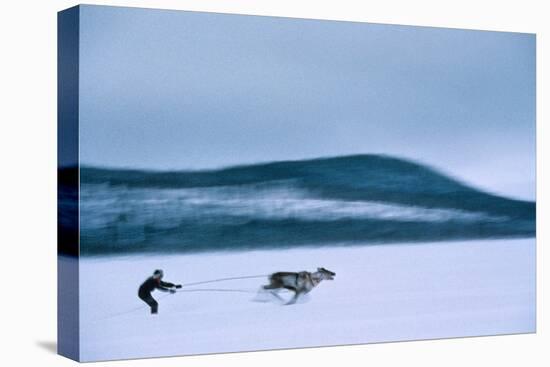 Pekka Aikio, Sami, Finland, Racing Reindeer, 2008 (Photo)-Kenneth Garrett-Stretched Canvas