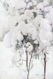 Snow-Covered Pine Saplings-Pekka Halonen-Framed Stretched Canvas