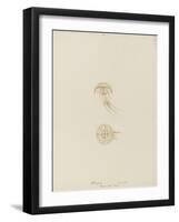 Pelagia (Young), Weymouth, 1843: Pelagia Noctiluca: Jellyfish-Philip Henry Gosse-Framed Giclee Print