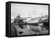 Pelagos Docked at Rowe Machine Works-Ray Krantz-Framed Stretched Canvas