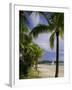 Pelangi Beach, Langkawi Island, Malaysia, Asia-John Miller-Framed Photographic Print