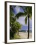 Pelangi Beach, Langkawi Island, Malaysia, Asia-John Miller-Framed Photographic Print