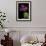 Pelargonium X Unique 'Jessels Unique' (Unique Geranium)-Paul Starosta-Framed Photographic Print displayed on a wall