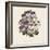 Pelargonium-Jo Starkey-Framed Giclee Print