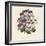 Pelargonium-Jo Starkey-Framed Giclee Print