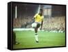 Pele-Art Rickerby-Framed Stretched Canvas