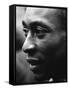 Pele-Art Rickerby-Framed Stretched Canvas