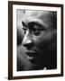 Pele-Art Rickerby-Framed Premium Photographic Print