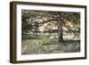 Pelham Bay Park, NYC, 1884-Harry Fenn-Framed Giclee Print