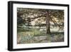 Pelham Bay Park, NYC, 1884-Harry Fenn-Framed Giclee Print